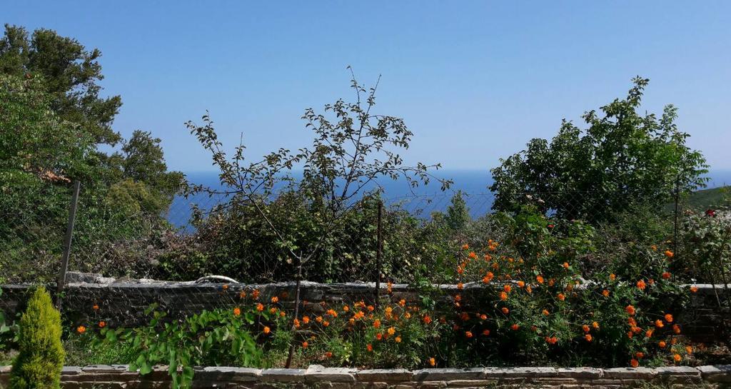 Apartments Spiros Pelion Kalamaki  Екстериор снимка